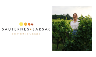 ODG Sauternes-Barsac